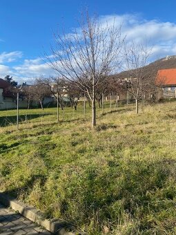 Na predaj jeden z najkrajších pozemkov na Zobory v Nitre - 4