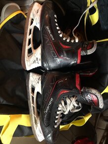 Bauer vapor 3X pro senior - 4