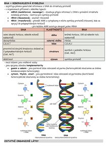 Fyzioterapia, medicína prijímačky KOMPLET - 4