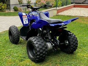 Yamaha Raptor 90 - 4