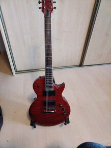 ESP LTD EC200QM - 4