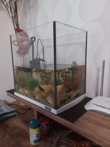 Predam akvarium značky Tetra 35x35x35+ okysličovač+s cca 30l - 4