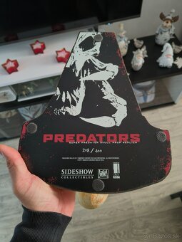 Predator skull 1:1 - 4