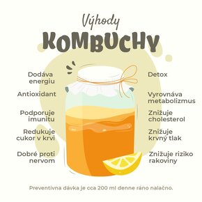 Kombucha čajová huba - 4