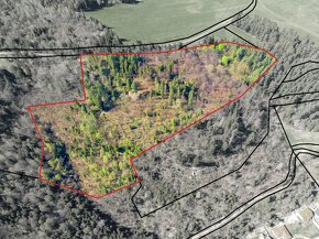 Spišská Nová Ves 23.059 m2 – LES 1/1 vo výlučnom vlastníctve - 4