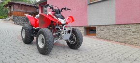 Honda Trx 250 2009 - 4