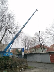 Čistenie pozemkov - štiepkovnie - Orez a výrub strmov - 4