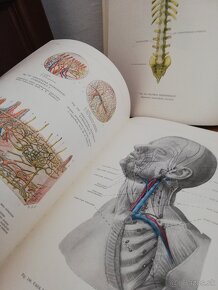 Atlas anatómie človeka 3 časti - 4