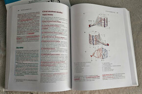 Anatómia 3 - Radomír Čihák - 4