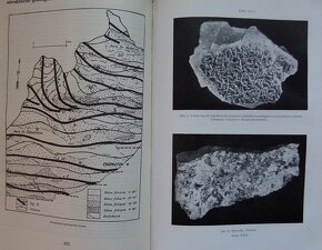 Naučný geologický slovník II. díl N-Ž - 4