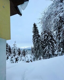 Predaj rekreačnej chaty v rekreačnej oblasti Kokava nad Rim. - 4