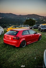 Audi A3 8P 1.9PDTDI - 4