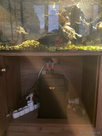 Vodné korytnačky s akváriom a filtrom - 4