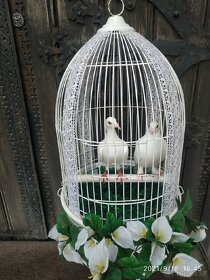 Biele svadobné holuby - 4