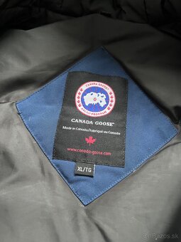 Canada goose - 4