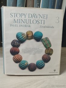 Stopy dávnej minulosti, knihy o Bratislave Pavel Dvořák - 4