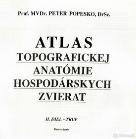 Atlas topografickej anatómie hospodárskych zvierat - Popesko - 4