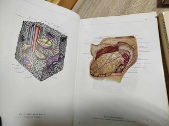 Atlas anatómie človeka I, II, III diel--1975-Kiss Ferenc, Sz - 4