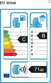 Dunlop Winter Sport 5 205/55 R16 91 H - 4