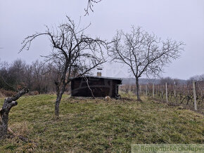 Pekná, udržiavaná vinica s chatkou za Kozárovcami - 4