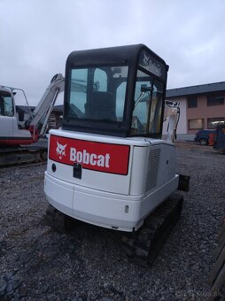 Bobcat - 4