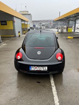 New Beetle - 4