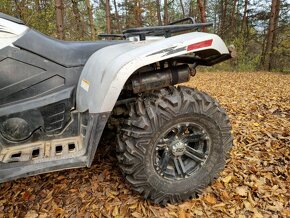 Arctic cat Thundercat 1000 - 4