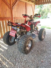 ATV Bashan 250 - 4