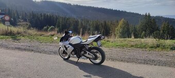 Honda CBR600rr v TP 25kw - 4