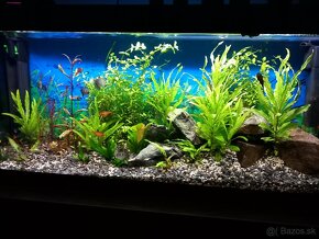 Predam.aquarium 200l - 4