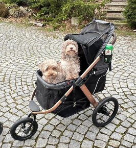 Kočík pre psa do 23Kg PetBuggy - 4