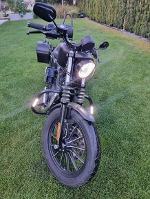 Harley Davidson sporster Iron 883 - 4