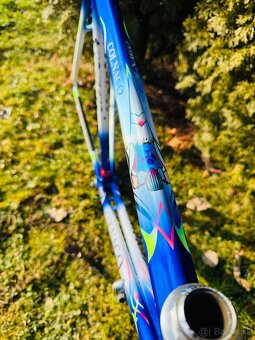 Colnago Master Bititan Art Decor - 4