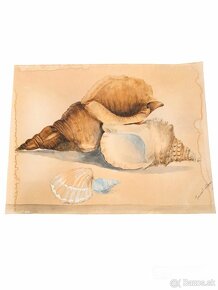 Obraz - Akvarel - umelecké dielo - Mušle - shells - 4
