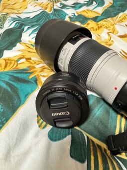 Cannon EOS R6 - 4