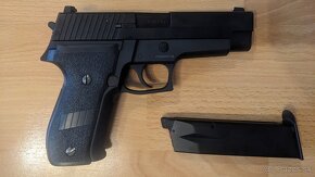 AW Custom P226 | BA, TN, kuriér - 4