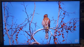 Predám 4KUHD SMART TV Panasonic TX -50LX650E Android(125cm) - 4