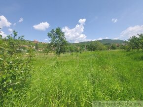 Pôvodný dom na rozľahlom pozemku len 6 km od Štúrova v obc - 4