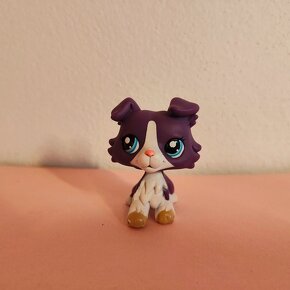 Lps littlest pet shop petshop original colie kólia #1676 167 - 4