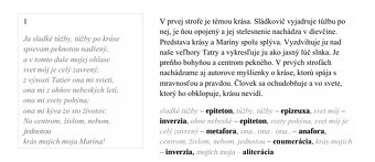 Maturitné témy zo slovenského jazyka a literatúry (SJL) - 4