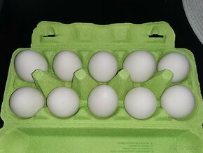 Domáce vajíčka BIO - 4