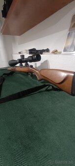 Hornet 22 CZ527 - 4