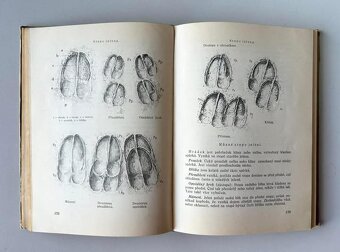 POĽOVNÍCTVO - 85 ročná kniha o poľovníctve - 4
