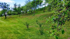 Kosenie-mulčovanie záhrad, pozemkov a neudržiavaných plôch - 4