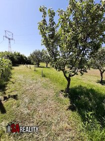 Na predaj záhrada s vin.domom,Levice, rovina - 4