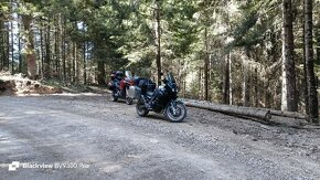 Triumph Tiger 955i - 4