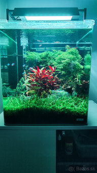 predam akvarium Dennerle 60l - 4