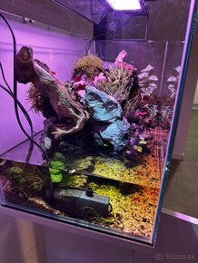 Paludarium - Vivárium -Terarium -Akavarium - 4