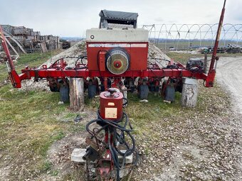 Sejačka na slnečnicu a kukuricu IH CYKLO (lincia USA) - 4