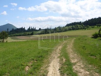 Predaj, Pozemok/Lesná pôda (RK01021164) - 4